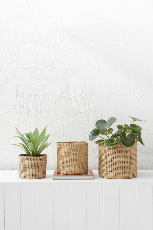Elegante Hochformat-Gras Körbe im Trio